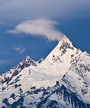 辛格林愿景